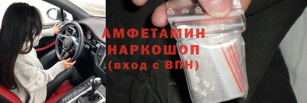 трава Магас