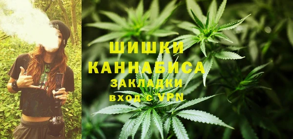 сатива Алзамай